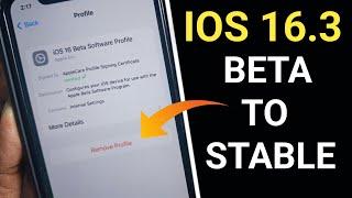 IOS 16.3 Beta to stable || Remove beta and install stable || stop beta updates || install stable