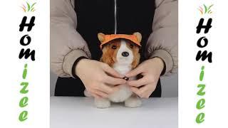 Creative Pet Hats