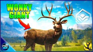 Is the Malmer 7mm the NEW King? | Testing Out the New Weapon Pack - Call of the Wild New Update