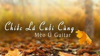 Chiếc Lá Cuối Cùng | Mèo Ú Guitar Solo