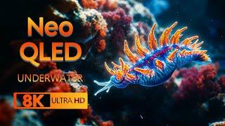 AQUATIC SPECTACLE: Ocean Animals & Sea Creatures 8K VIDEO ULTRA HD #8K #OCEAN