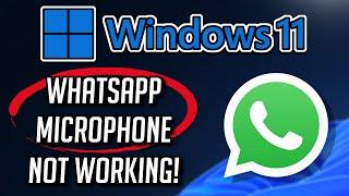 Whatsapp Microphone Not Working Windows 11/10 FIX