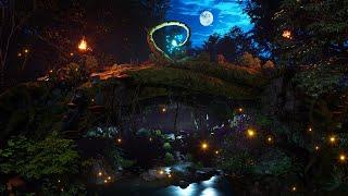 Enchanted Elven Forest Ambience  Fall Asleep in a Calm magical Night | Nature Night & Water Sounds