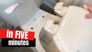 Replace Your Toilet Seat in FIVE MINUTES