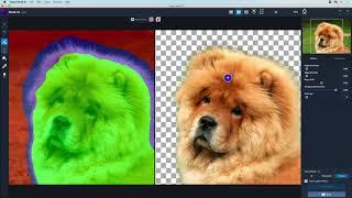 Learn better and faster image masking with Topaz Mask AI