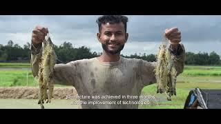 Artemia4Bangladesh project