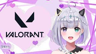 【VALORANT】朝活しちゃうぞみんな~おはよ！【#新人VTuber #星闇せあ】