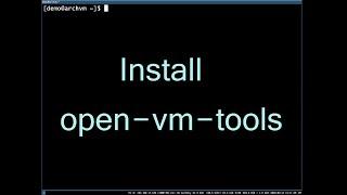 Arch Linux Open Vm Tools in VMware, vmwgfx