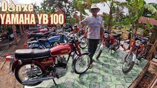 Bình Sa Đéc - Dàn xe cổ Yamaha YB 100 tại TP Sa Đéc