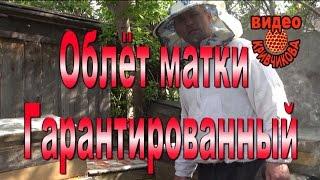 Гарантированный облет матки