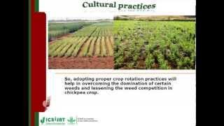 Weed Control Strategies in Chickpea