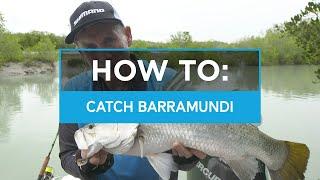 HOW TO: Catch Barramundi in creeks and drains