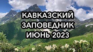 Кавказский Заповедник Июнь 2023