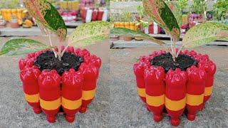 Tutorial Membuat Pot Bunga Dari Bahan Botol Plastik Bekas