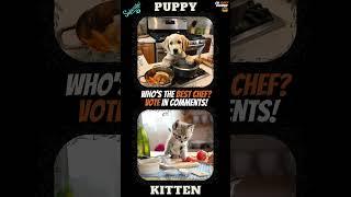 AI Art Wars: Puppy Vs. Kitten  {Who's the Best Chef?}