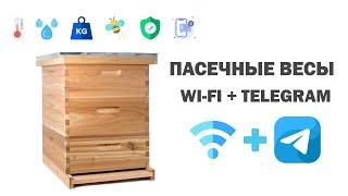 Весы пасечные управления через Telegram + WiFi | Умные весы для пасеки #BeeScale #iBee #bee_network