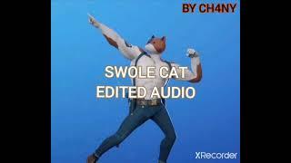 Swole cat edited audio