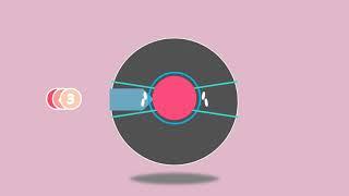 Circle animated Timer 5 seconds countdown Intro Video in PowerPoint - aesthetic cute colors