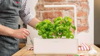 Click and Grow Smart Garden Review - Is it any good?