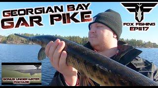 Fall Fishing MASSIVE Georgian Bay Gar Pike. **Bonus Underwater Footage** Fox Fishing 4K ULTRA HD