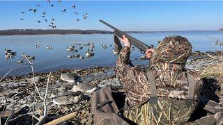 Main Lake Diver Duck Hunt: Big Flocks Dive Into the Decoys!