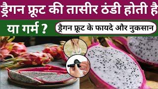 ड्रैगन फ्रूट की तासीर ठंडी या गर्म|Dragon Fruit Benefits & Side Effects in hindi|कमलम|Pitahaya Fruit