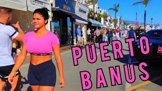 PUERTO BANUS  Sunny January Marbella Malaga Costa del Sol Andalucía Spain 4K