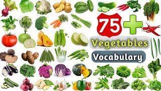 Vegetables Vocabulary ll 75+ Vegetables Name in English ll List of Vegetables