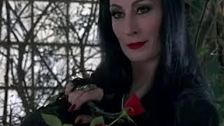 ME IN THE MOVIE ADAMS FAMILY