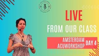 Si Yuan Balance Method Acuworkshop live from Amsterdam day 4