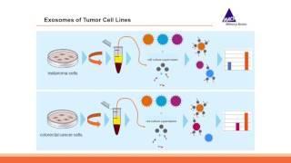 Webinar: Exosome Analysis Using a Multiplex Bead-Based Flow Cytometry Assay