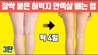 찰싹붙은 허벅지 안쪽살 챌린지빨리 빼고 싶으시다면 2주만 해보세요.(안벅지 제거/허벅지살)