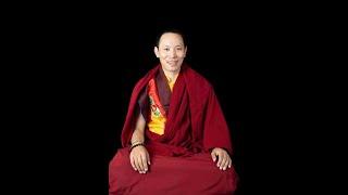 Dharma Discussion Ep12 / September 29, 2024 / Ven. Khenpo Tenzin