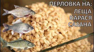 How to cook pearl barley for trophy bream, crucian carp, carp? Catch pearl barley for fishing