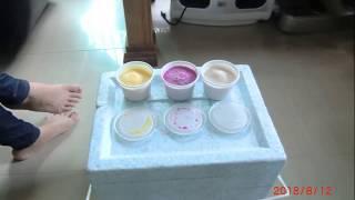 to make Fruit Shake Ice Cream