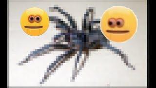 like and subscribe or this spider will crawl on you when you’re sleeping (EARRAPE)