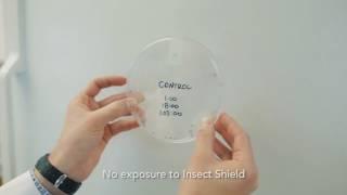 Buffwear: Buff® Insect Shield® Mosquito Knockdown Test | AvidMax