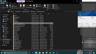 [Reversing] Cracking 4K Video Downloader