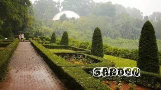 Beauty Garden on Earth/