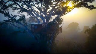 World's Tallest Luxury Treehouse - Canopy of the Amazon Rainforest