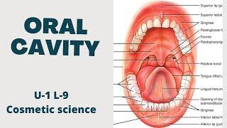 Oral cavity ! Common problem of oral cavity ! Cosmetic science ! B pharmacy 8th sem ! U-1 L-9 Part-1