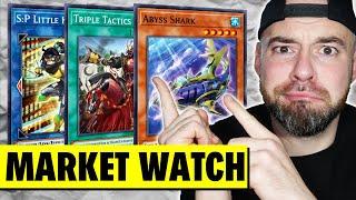 Das kostet die Meta! | CARDMARKET WATCH | September 2024 | Yu-Gi-Oh!