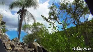 Sonidos de la naturaleza para estudiar y concentrarse