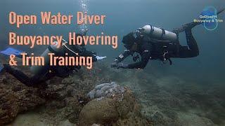 Open Water - Real World Buoyancy, Hovering and Trim Training
