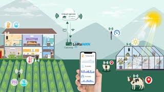 Agrosense full range of user grade agricultural products based on LoRaWAN