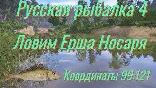 Русская рыбалка 4 • Вьюнок, трофейный Ёрш-Носарь • Фарм