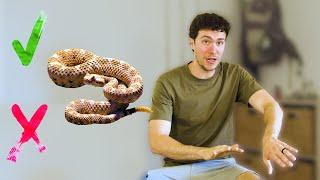 What To Do if You’re Bitten by a Rattlesnake (Outdoor Survival Tips)