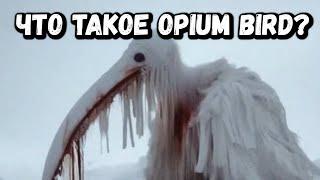 ЧТО ТАКОЕ OPIUM BIRD?