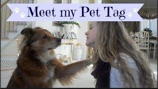 MEET MY PET TAG