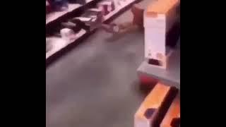 dude violently gets smacked with a fucking walmart shopping cart